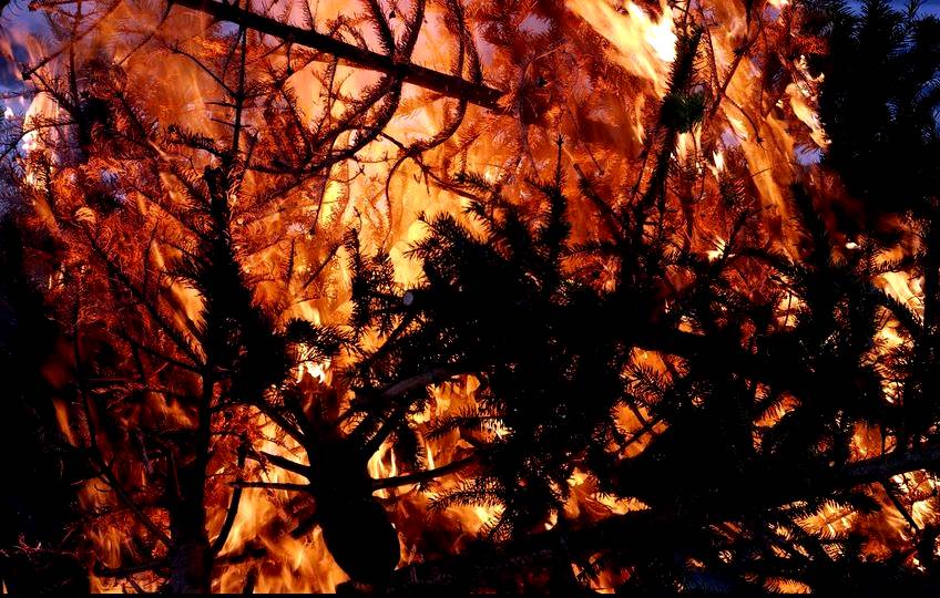 christbaumfeuer-2