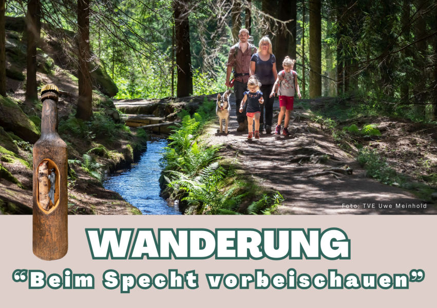 13.9._Wanderung_Specht