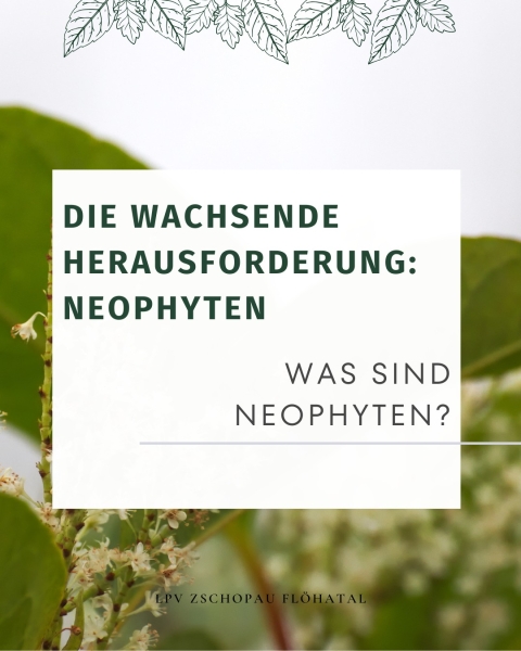 Neophyten
